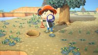 Animal Crossing - New Horizons: Alle Fossilien - Liste und Verkaufspreise