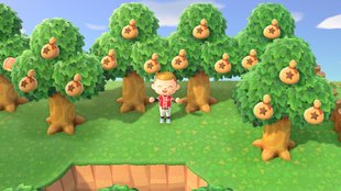 Animal Crossing - New Horizons: Geldbaum richtig pflanzen für maximale Ausbeute