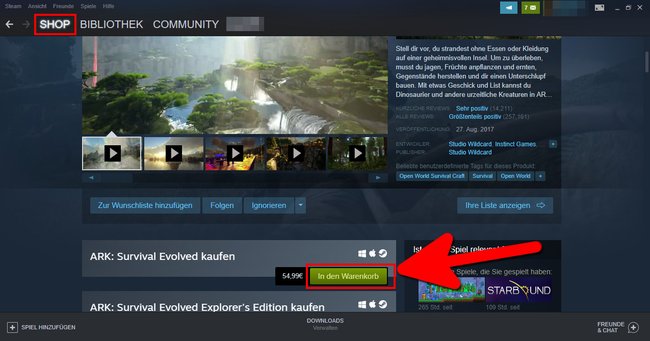 So kauft ihr ein Steam-Spiel. Bild: GIGA