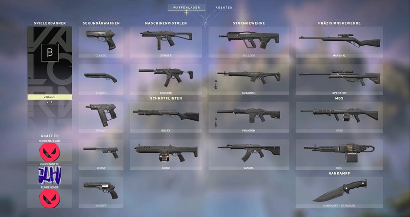 Das sind alle Waffen zum Release von Valorant.