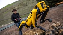 Teuer wie ein Porsche: Diesen Roboter-Hund kannst du dir nicht leisten