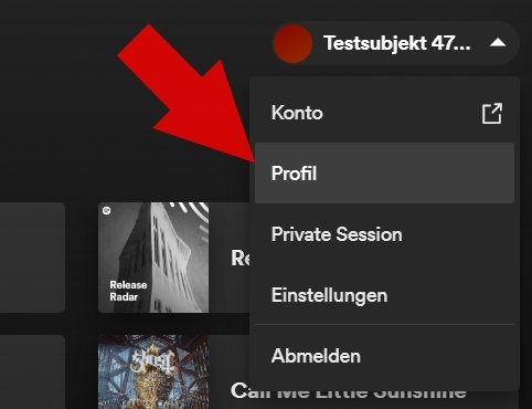 Spotify Name anpassen PC-Client 01