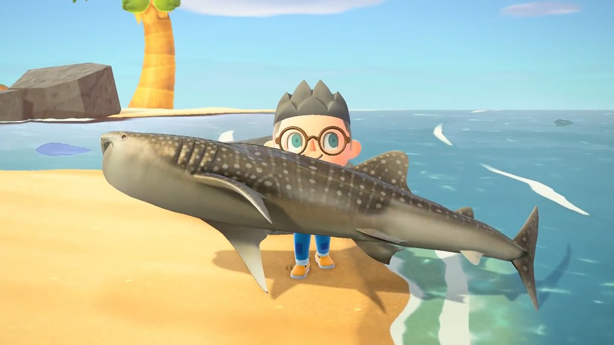 Animal Crossing New Horizons Haie Finden Zeiten Und Tipps