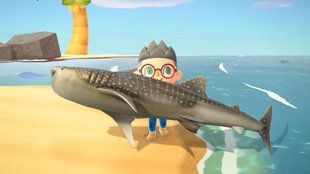 Animal Crossing - New Horizons: Haie fangen - Fundorte, Zeiten und Preise
