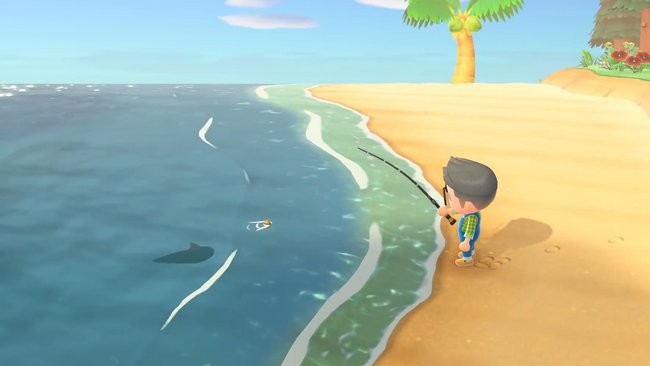 Achtet bei Schatten von Fischen im Wasser auf die Rückenflosse, daran erkennt ihr eine Hai-Art.