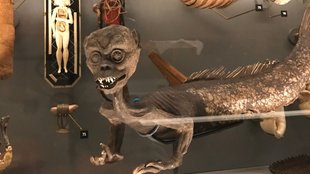 30 WTF-Bilder aus Museen, die euch garantiert Albträume bescheren