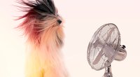 Die besten Ventilatoren: Stiftung-Warentest-Sieger und Empfehlungen