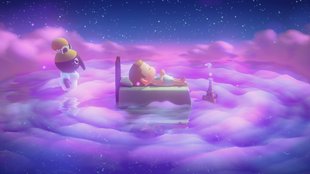 Animal Crossing - New Horizons: Serenada finden, schlafen und Träume teilen