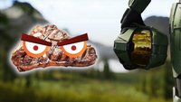 Halo-Betrüger hat sein Bungie-Steak gar nicht verdient