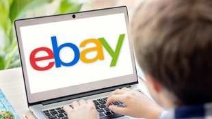 eBay-Panne: 6-Jähriger macht die Shopping-Tour seines Lebens
