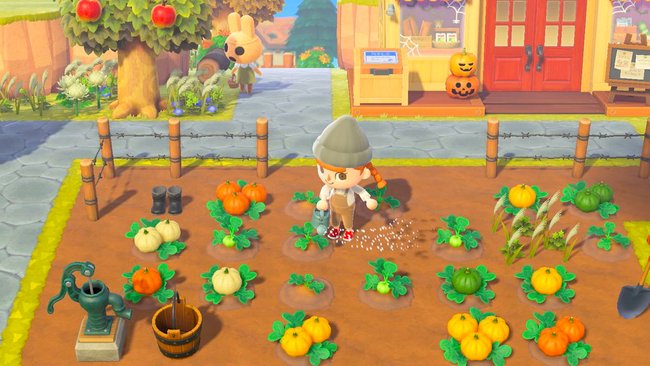 Kürbisse anpflanzen und ernten in Animal Crossing: New Horizons.