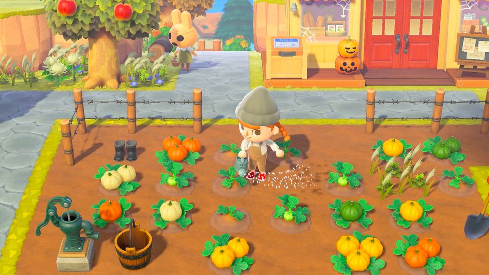 Kürbisse anpflanzen und ernten in Animal Crossing: New Horizons.