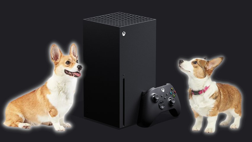 Amazon-Kunden finden statt der Xbox Series X Hunde.