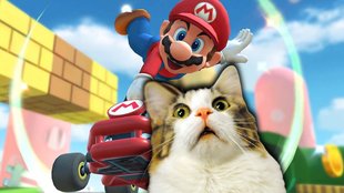 Schlimmer als der blaue Panzer: Faule Katzen machen Mario Kart unsicher