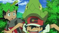 Pokémon: Jetzt könnt ihr euch in ein lebensgroßes Safcon kuscheln