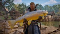 Assassin's Creed Valhalla: Alle 19 Fischarten - Fundorte zum Angeln