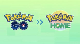 Pokémon von Pokémon GO zu HOME übertragen - so gehts