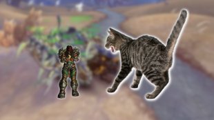 WoW: Spieler vernichtet seine Feinde mit Katzen-Armee