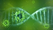 Coronavirus: Forscher zeigen, was bisher keiner sah