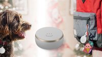 Curve Tracker zu Weihnachten im Angebot: Gadget hilft, Koffer, Schlüssel, Auto oder Haustier zu finden