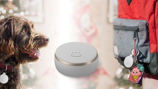 Curve Tracker zu Weihnachten im Angebot: Gadget hilft, Koffer, Schlüssel, Auto oder Haustier zu finden