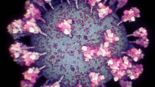 Coronavirus gezüchtet? Laborunfall könnte Ursache der Pandemie sein