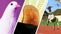 12 WTF-Games, die euch komplett planlos zurücklassen