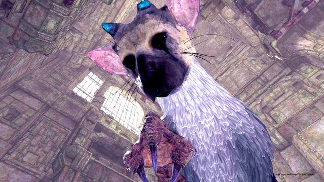 The Last Guardian: VR Demo kostenlos im PS Store.