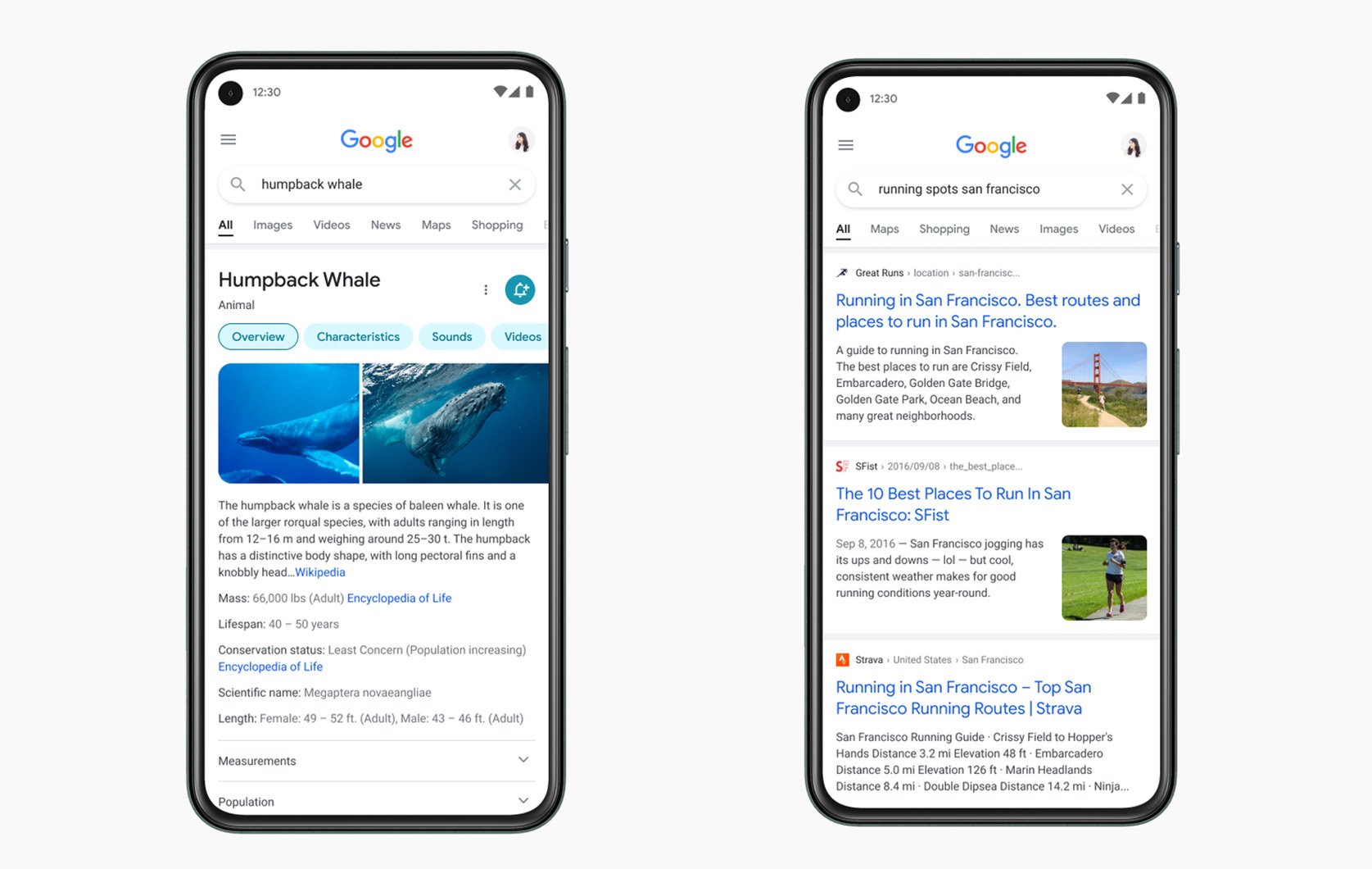 Google baut um: So sieht die Suche bald aus