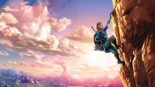 Realistischer als Skyrim? Zelda-Spieler entdeckt nach Jahren niedliche Details