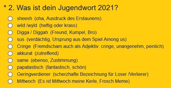 Langenscheidt Wahl zum Jugendwort 2021 Top 10