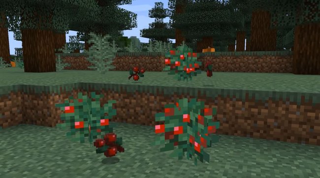 Minecraft: Füchse lieben Süßbeeren