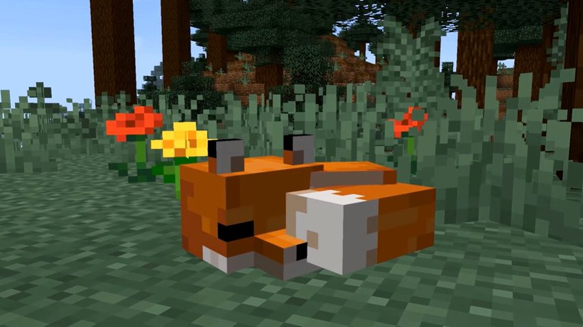 Minecraft: Füchse zähmen