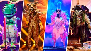 The Masked Singer, Tom Hanks in Geiselhaft und lecker Kochen: Die heutigen TV-Highlights