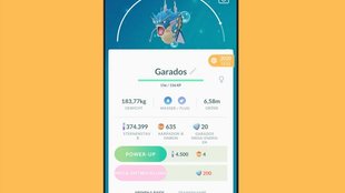 Pokémon GO: Garados - beste Attacken, Konter und eine Mütze