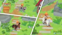 Story of Seasons: PoOT - Alle Reittiere und ihre Freischaltbedingungen