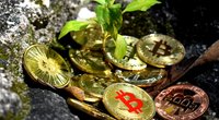 Bitcoin-Einstieg: 4 Tipps für Krypto-Anfänger