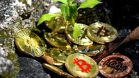 Bitcoin als Umweltsünder: Auswirkungen von Mining schlimmer als erwartet