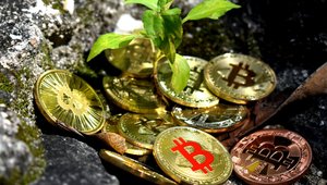 Bitcoin-Einstieg: 4 Tipps für Krypto-Anfänger