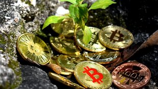 Bitcoin als Umweltsünder: Auswirkungen von Mining schlimmer als erwartet