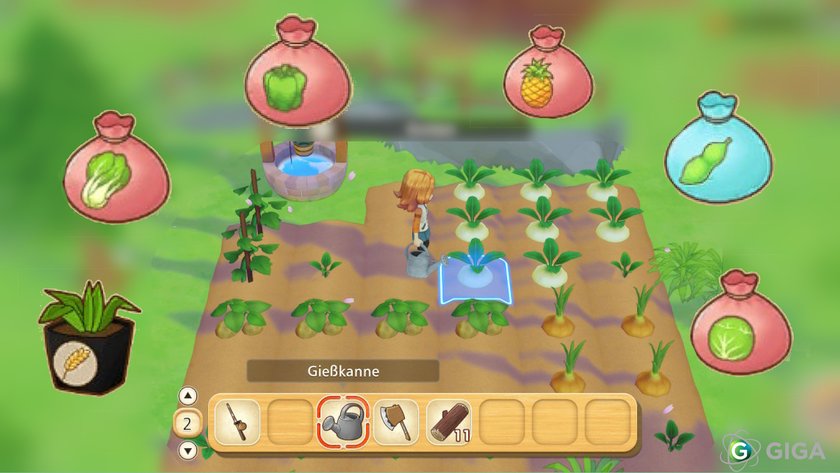 Feldsamen bei Story of Seasons: Poneers of Olive Town