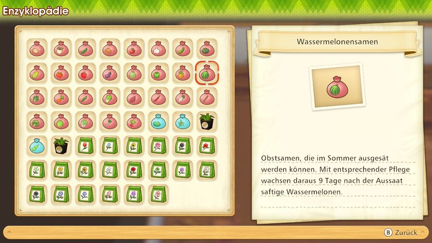 Wassermelonensamen