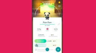 Pokémon GO: Pam-Pam entwickeln und Pandrago bekommen