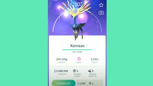 Pokémon GO: Xerneas kontern und die besten Attacken