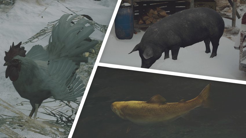 Wir zeigen euch, wo ihr alle Tiere in Resident Evil Village finden könnt und die Fundorte von Wild, Geflügel und Fisch.