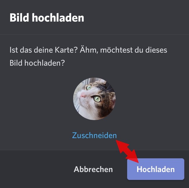 Discord-App Avatar anpassen Smartphone 02