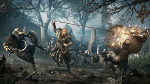 Assassin's Creed: Valhalla bekommt neue Funktion für echte Hardcore-Spieler