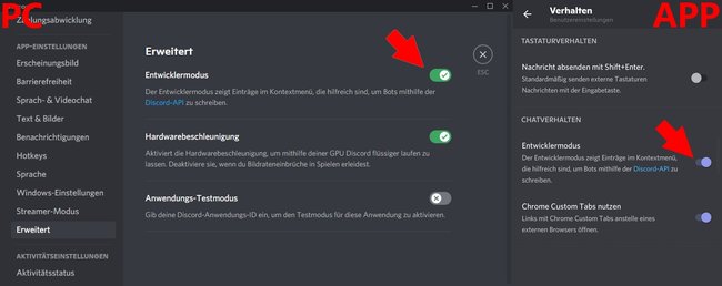 Discord ID Entwicklermodus PC App