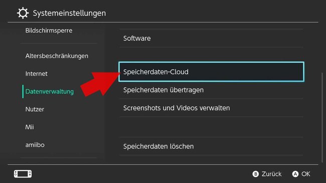 Nintendo Switch Datenverwaltung Speicherdaten-Cloud