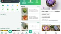 PictureThis – Pflanzen bestimmen – App für Android & iOS
